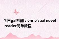 今日gal机翻：vnr visual novel reader简单教程