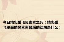 今日精忠岳飞吴素素之死（精忠岳飞里面的吴素素最后的结局是什么）