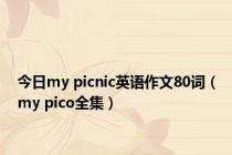 今日my picnic英语作文80词（my pico全集）