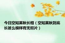 今日空知英秋长相（空知英秋到底长甚么模样有无照片）