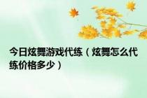 今日炫舞游戏代练（炫舞怎么代练价格多少）