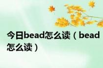 今日bead怎么读（bead怎么读）