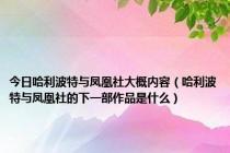 今日哈利波特与凤凰社大概内容（哈利波特与凤凰社的下一部作品是什么）