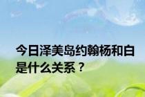 今日泽美岛约翰杨和白是什么关系？