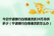 今日宁波银行白领通贷款20万月供多少（宁波银行白领通贷款怎么办）