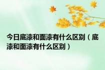 今日底漆和面漆有什么区别（底漆和面漆有什么区别）