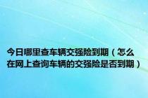 今日哪里查车辆交强险到期（怎么在网上查询车辆的交强险是否到期）