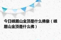 今日峨眉山金顶是什么佛像（峨眉山金顶是什么佛）