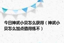 今日神武小贝怎么获得（神武小贝怎么加点值得练不）