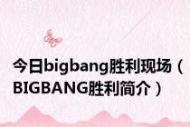 今日bigbang胜利现场（BIGBANG胜利简介）