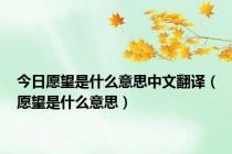 今日愿望是什么意思中文翻译（愿望是什么意思）