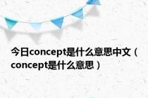 今日concept是什么意思中文（concept是什么意思）