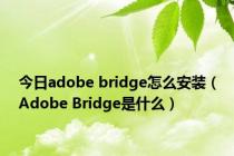 今日adobe bridge怎么安装（Adobe Bridge是什么）