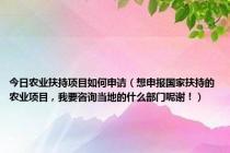 今日农业扶持项目如何申请（想申报国家扶持的农业项目，我要咨询当地的什么部门呢谢！）