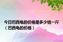 今日巴西龟的价格是多少钱一斤（巴西龟的价格）