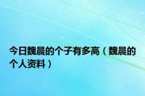 今日魏晨的个子有多高（魏晨的个人资料）