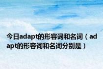 今日adapt的形容词和名词（adapt的形容词和名词分别是）