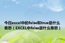 今日excel中的false和true是什么意思（EXCEL中false是什么意思）