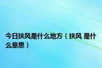 今日扶风是什么地方（扶风 是什么意思）