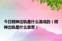 今日精神出轨是什么造成的（精神出轨是什么意思）