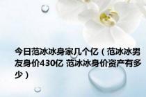 今日范冰冰身家几个亿（范冰冰男友身价430亿 范冰冰身价资产有多少）