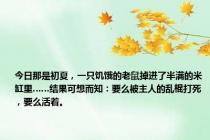 今日那是初夏，一只饥饿的老鼠掉进了半满的米缸里……结果可想而知：要么被主人的乱棍打死，要么活着。