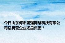 今日山东何志国强网络科技有限公司是民营企业还是集团？