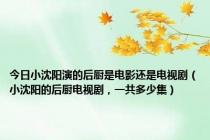 今日小沈阳演的后厨是电影还是电视剧（小沈阳的后厨电视剧，一共多少集）