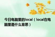 今日电脑里的local（local在电脑里是什么意思）