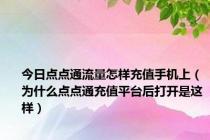 今日点点通流量怎样充值手机上（为什么点点通充值平台后打开是这样）