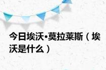 今日埃沃·莫拉莱斯（埃沃是什么）