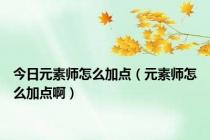 今日元素师怎么加点（元素师怎么加点啊）