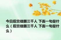 今日后宫佳丽三千人 下面一句是什么（后宫佳丽三千人 下面一句是什么）