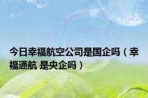 今日幸福航空公司是国企吗（幸福通航 是央企吗）