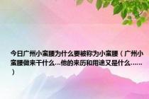 今日广州小蛮腰为什么要被称为小蛮腰（广州小蛮腰做来干什么…他的来历和用途又是什么……）