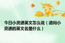 今日小灵通英文怎么说（请问小灵通的英文名是什么）