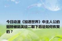 今日动漫《加速世界》中主人公的翅膀被能美征二取下后是如何恢复的？