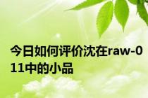 今日如何评价沈在raw-011中的小品