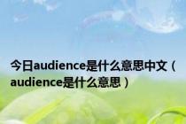 今日audience是什么意思中文（audience是什么意思）