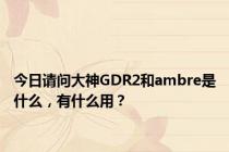 今日请问大神GDR2和ambre是什么，有什么用？