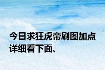 今日求狂虎帝刷图加点 详细看下面、