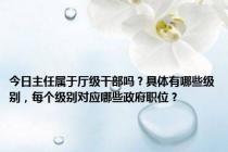 今日主任属于厅级干部吗？具体有哪些级别，每个级别对应哪些政府职位？