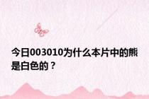 今日003010为什么本片中的熊是白色的？