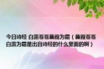 今日诗经 白露苍苍蒹葭为霜（蒹葭苍苍白露为霜是出自诗经的什么里面的啊）