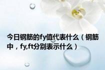 今日钢筋的fy值代表什么（钢筋中，fy,ft分别表示什么）