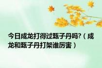 今日成龙打得过甄子丹吗?（成龙和甄子丹打架谁厉害）