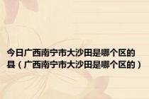 今日广西南宁市大沙田是哪个区的县（广西南宁市大沙田是哪个区的）