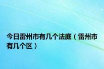 今日雷州市有几个法庭（雷州市有几个区）