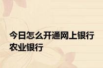 今日怎么开通网上银行 农业银行