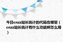 今日cnzz站长统计的代码在哪里（cnzz站长统计有什么功能啊怎么用）